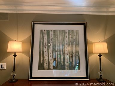 Auction 82643 (1 of 6)