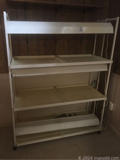 MaxSold Auction: This online auction features instruments such as autoharps, ukulele, harmonicas, guitars, lap steel guitars, strumstick and others, cameras, toys, Super Nintendo, comic books, accessories, jewelry, record player, kitchenware, albums, outdoor decor, gardening supplies, Craftsman snowthrower, framed art, linens, kitchenware, small kitchen appliances, furniture such as a plant shelf, side tables, bedframe, pullout couch and much more!