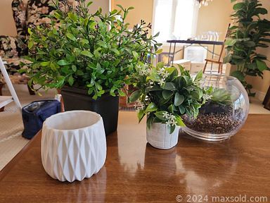 Auction 107130 (3 of 4)