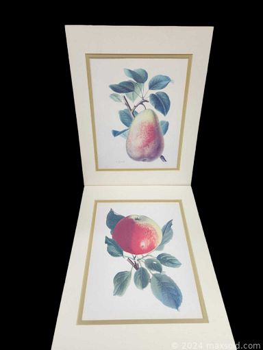 Auction 111173 (2 of 4)