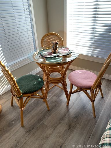 MaxSold Auction: This online auction includes furniture such as a Gibbard sofa table, bench, dining table set, chairs, china cabinet, sofa, bedframe, cabinets, recliner, rattan table set, rattan rocking chair and others, kitchenware, small kitchen appliances, refrigerator, upright freezer, hand tools, power tools, hardware, camping supplies, bicycles, decor, wall art, lamps, linens, TV, electronics, bags, Dyson vacuum, ladders, golf items, garden tools, Weber BBQ grill, Egyptian chess set and much more!