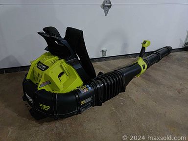 Auction 109273 (1 of 4)