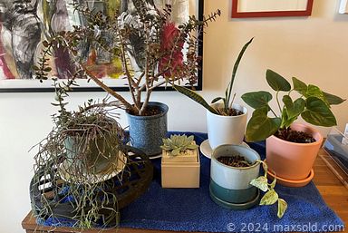 MaxSold Auction: This online auction features desk & chair, small kitchen appliances, beer steins, bbq grill, chiminea, camping gear, golf clubs, yard tools, games, and much more!!!