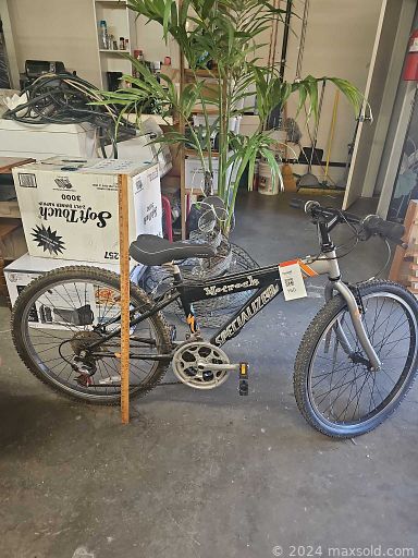 Auction 109015 (2 of 4)