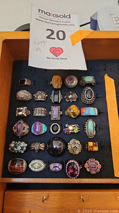 MaxSold Auction: This online auction features Acorn stairlift, jewelry, watches, Lenox figurines, Jim Shore figurines, cast iron animals, depression glass, teapots, sewing machine, B&G decorative plates, Snowbabies figurines, and much more!!