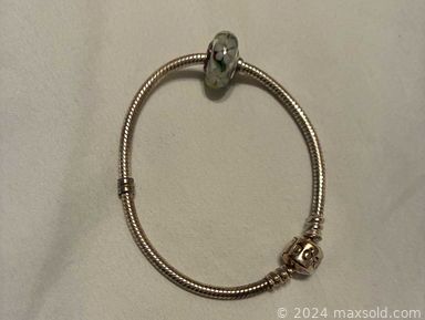 Auction 114067 (1 of 4)