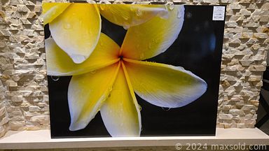 MaxSold Auction: This online auction features Nuevo glass dining table, modern sofas, antique French cabinet, cameras, patio furniture, BBQ grill, mirrored side tables, light sculpture, antique compact cases, vintage Art Deco vase, Chilewich placemats, Korean wooden cabinet, decanters, Lladro bells, vintage souvenir spoons, art glass, small kitchen appliances, metal sculpture, men’s & women’s clothing, and much, much, more!!!