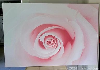 MaxSold Auction: This online auction features stretched canvas art, Tiffany style lamp, NIB vanity fixtures, electric fireplace, collectible perfume bottles, vintage sleepwear, Bavaria china, vintage glass ornaments, teacup/saucer sets, new beauty products, fitness gear, clocks, evening bags, art glass, carnival glass, tea sets, lustreware, porcelain head dolls, storage bins and much more!