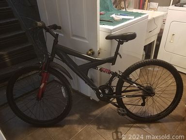 Auction 117505 (1 of 4)