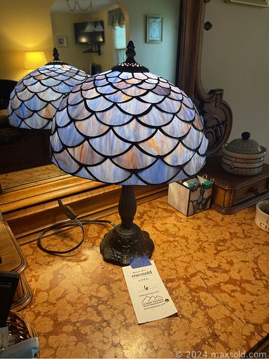 Auction 78393 (2 of 6)