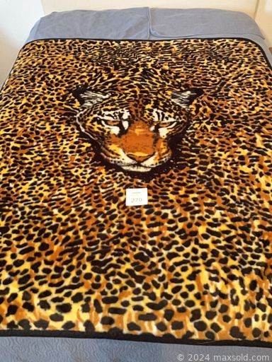 Auction 103943 (3 of 4)
