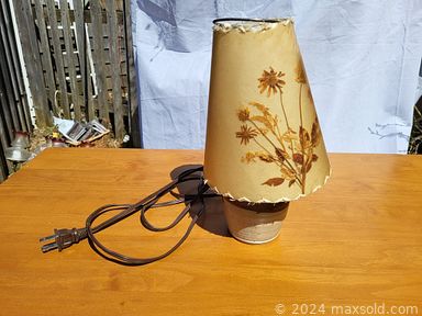 MaxSold Auction: This online auction features antique dresser & washstand, milk glass hanging lamp, planters, bike, concrete birdbaths, wicker furniture, fishing tackle, wire garden settee, oil lamps, studio pottery, slag lampshade, cast iron miniatures, vintage tools, area rug, antique Hoosier cabinet, and much more!