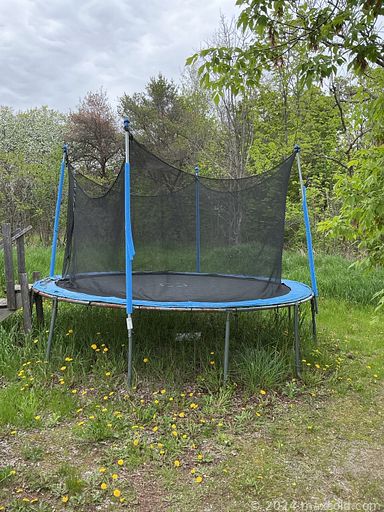 Auction 110341 (2 of 4)