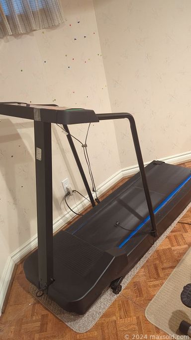 MaxSold Auction: This online auction includes desk, workbench, tables, cast aluminum outdoor chairs, tables, corner dresser, shelving units, bedframe, wood console table, bench, sofa and others, elliptical machine, treadmill, decorative plates, kitchenware, small ktichen appliances, rugs, wall art, barawaee, linens, fireplace accessories, lamps, mirror, electronics, cleaning supplies, smoker BBQ grill, gardening tools, planters, ladders and many more!