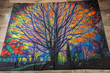 MaxSold Auction:   -This online auction features diamond & gemstone ring, inflatable dingy, toys, silk scrolls, earbuds, pet products, beer steins, new beauty products, tapestries, shoes, watch, new jewellery, RC helicopter, computer accessories, drone, and much, much, more!!! 