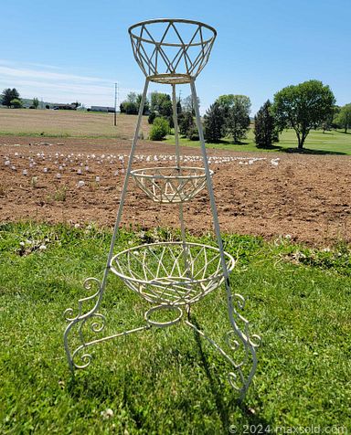 Auction 109036 (3 of 4)