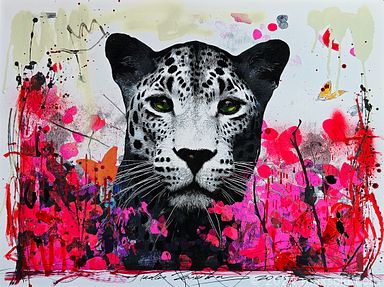 collage-image