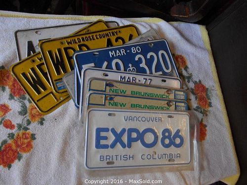 Lot #0266 (1 of 9)