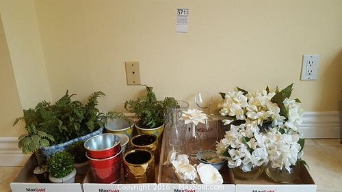 Lot #0571 (1 of 24)
