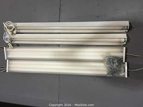 Lot #0050 (1 of 4)