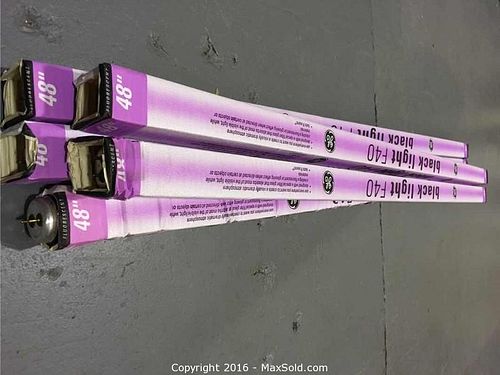 Lot #0055 (1 of 6)