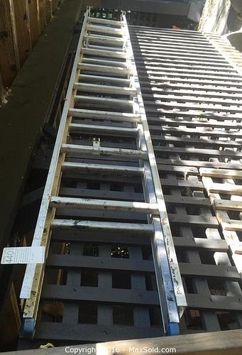 Lot #0440 (1 of 5)