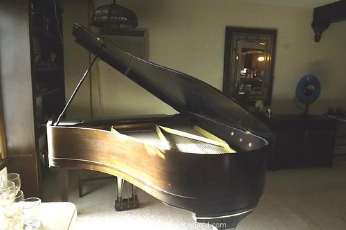 Lot #0979 (1 of 24)