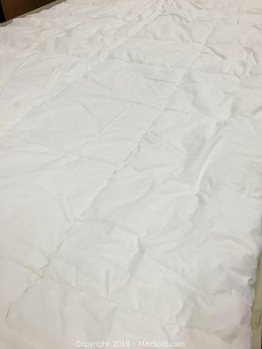 Lot #0031 (1 of 1)
