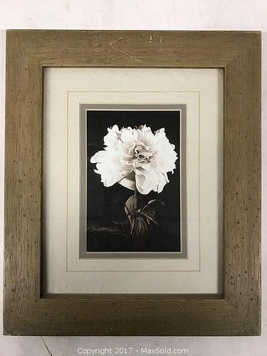 Lot #0140 (1 of 1)
