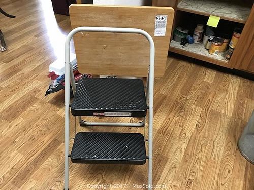 Lot #0856 (1 of 8)