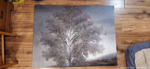 Lot #46 (1 of 4)