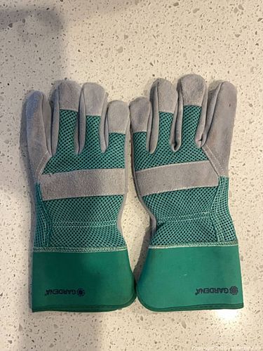 Lot #20 (1 of 2)