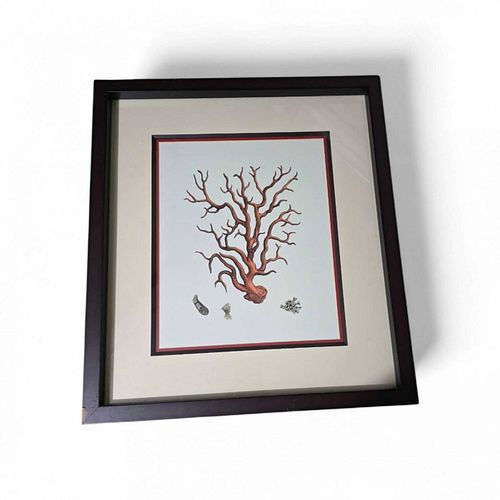 Lot #57 (1 of 4)