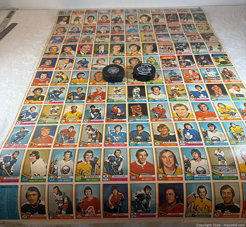 Hockey Poster and Pucks (1 of 20)