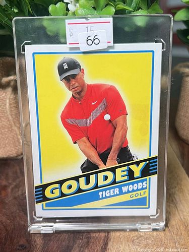 Lot #66 (1 of 3)