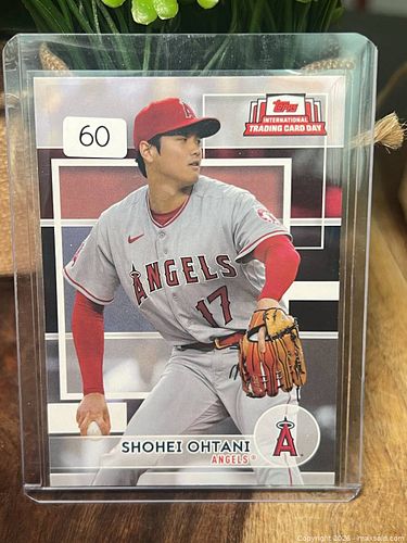 Lot #60 (1 of 3)