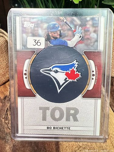 Lot #36 (1 of 3)