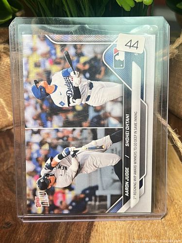Lot #44 (1 of 3)