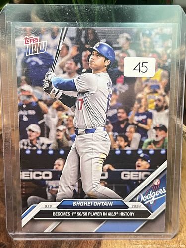 Lot #45 (1 of 3)