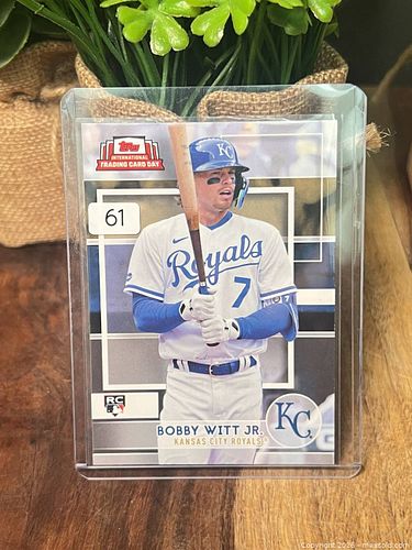 Lot #61 (1 of 3)