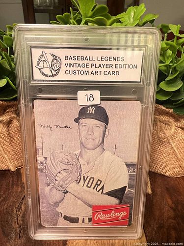 Lot #18 (1 of 3)