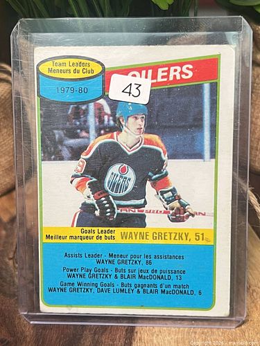 Lot #43 (1 of 3)