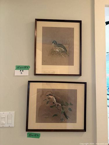 (2pcs) Vintage Lithograph Prints by J. Fenwick Lansdowne - "Pied-Billed Grebe", 1957 & "Black-Billed Cuckoo", 1959 (1 of 22)