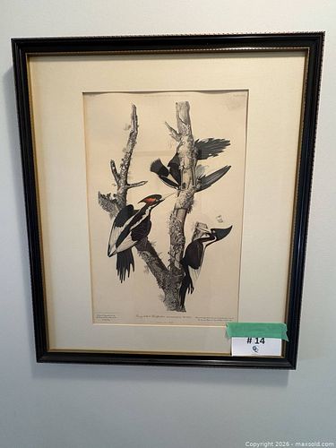 Lot #14 (1 of 18)