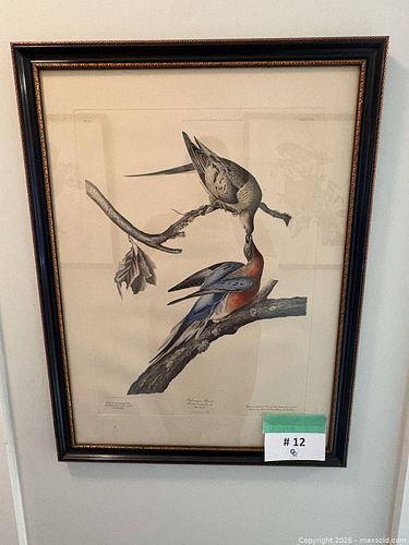 Lot #12 (1 of 20)
