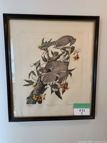 Lot #11 (1 of 19)