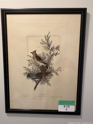 Lot #13 (1 of 18)