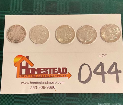 Lot #44 (1 of 11)