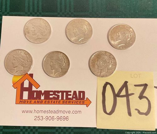 Lot #43 (1 of 13)