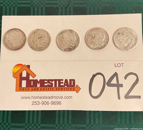 Lot #42 (1 of 11)